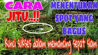 TIPS JITU MENENTUKAN LOKASI SPOT IKAN SEPAT SIAM || #VLOG24