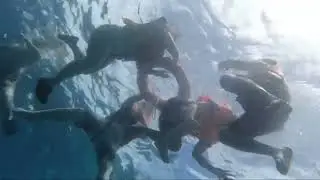 Palawan2022