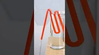Seeing Inside a Self-Starting Siphon