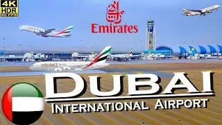 Dubai Emirates Airport Tour ✈️ | Dubai International Airport Guide | Dubai Metro Train Travel UAE 🚇