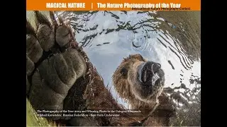 Nature Photography of the Year - Magical Nature 2018
