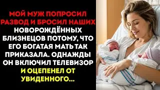 Моя свекровь спланировала, чтобы мой муж бросил меня с близнецами… но потом она…