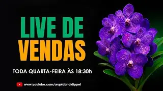 LIVE DE VENDAS! ENVIAMOS PARA TODO O BRASIL!