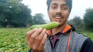 #Vising the Kheti badi with bro 🌾🥒🥬Full Masti today 😻🥒👍🏼👍🏼@BhaktMahadevka-g8t ..