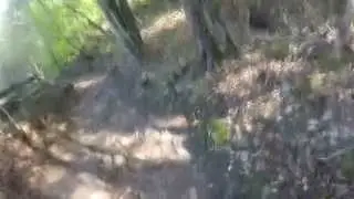 MTB Trek X Caliber 8 29er #4