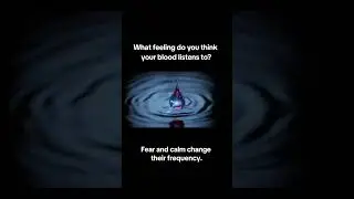 Rh-negative cells react to emotion.Fear and calm change their frequency.What feeling do you think