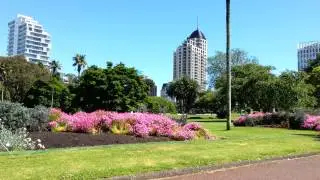Auckland's Albert Park on a hot spring Day