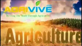 Bulk Sugar Trading, Sugar Trading, Sugar Trading, Sugar Trading, Sugar Trading, Sugar Trading, Sugar