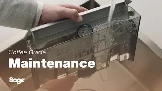 The Barista Express&trade; | How to replace the ClaroSwiss water filter | Sage Appliances UK
