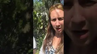 Looking under rocks and finding bugs