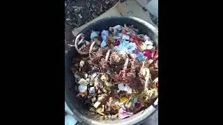 M&eacute;todo de compostaje continuo