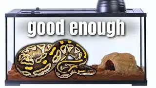 How Much Space Does a Snake Need?