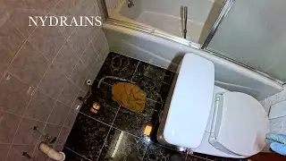 Clogged Drain #320