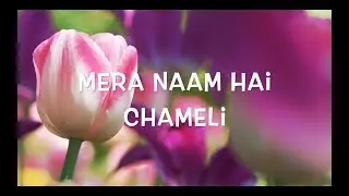 Mera Naam Hai Chameli 🌸 🌸 🌸 🌸