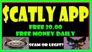 CATLY | CATLY REVIEW | CATLY APP | CATLY APP REVIEW | $CATLY | $CATLY REVIEW | SCATLY|  $CATLY app
