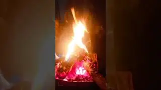 Winter holiday#ytshorts#