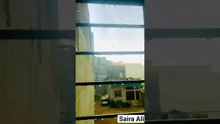Wellcome first rain of winter ⛄ #shortvideo#winter#rain#