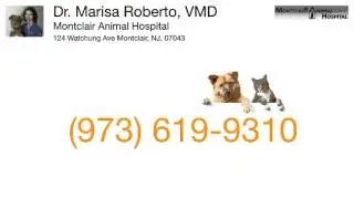 Dr. Marisa Roberto, VMD - (973) 619-9310 - Montclair, NJ 07043