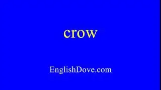 How to pronounce crow in American English.
