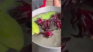 REFRESHING JAMAICA FLOWER WATER