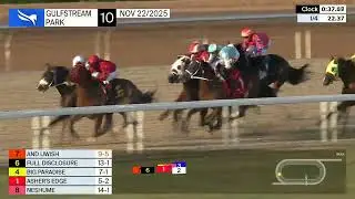 Gulfstream Park, 22 ноября 2025 г., гонка 10