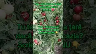 Ai visat și tu vreodată la o viață mai simplă, mai autentică? Scrie-mi &icirc;n comentarii