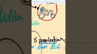 Viral replication curve 