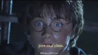 Lyrics Theme song for Harry Potter and the Chamber of Secrets-More than the Name #music #harrypotter
