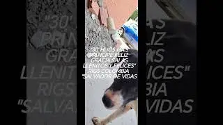 Completo PRINCIPE FELIZ perrito de calle Bocas y Estomagos LLENITOS RIGS COLOMBIA SALVADOR DE VIDAS