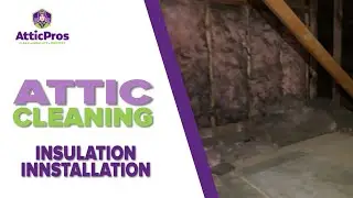 Your Attic Needs This (Cleaning and Insulation)