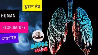 #MPPSC Mains Paper 3| Human Respiratory System (श्वसन तंत्र)| English Medium #MPPSC
