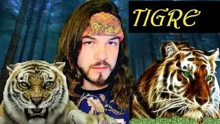 Animal de Poder Tigre