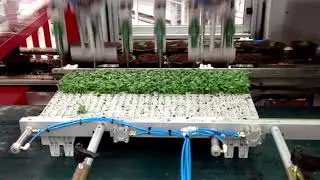 Da Ros - Transplanter - TP MT