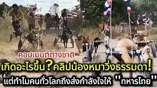 เกิดอะไรขึ้น?คลิปน้องหมาวิ่งธรรมดา แต่ทำไมคนทั่วโลกถึงส่งกำลังใจให้ ''ทหารไทย'' คอมเมนต์ต่างชาติ