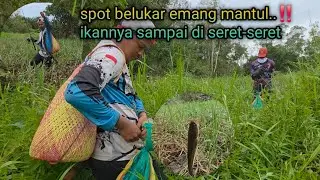 Spot belukar memang mantul..‼️ Ikan nya sampai di seret-seret.
