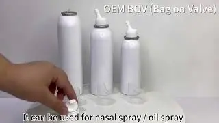 Bag on valve (BOV) for aluminum spray can