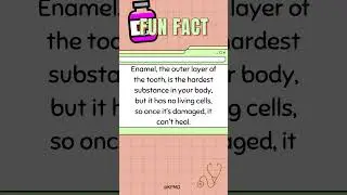 Which Body Part Can&rsquo;t Repair Itself After Injury? The Answer May Surprise You! #mededtrivia #quiz