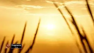Etza - Fragments