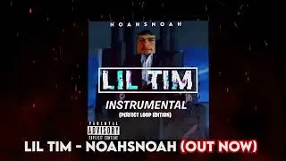 Lil Tim - NoahsNoah Instrumental (PERFECT LOOP)