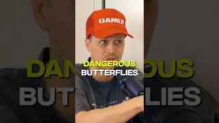 Butterflies Just Got Dangerous