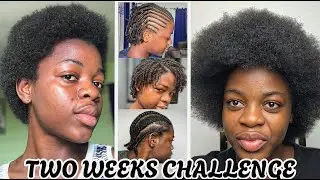 The BEST Protective Style for Hair Growth in 2 Weeks