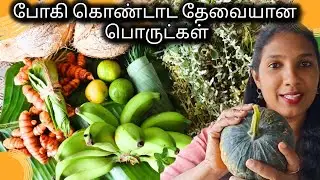 Pongal Pre Preparation Vlog 🌾✨|போகி கொண்டாட முக்கியமான பொருட்கள் #pongalcelebration @Vibewithnithii 