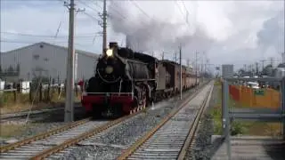 Tren Turístico Concepción - Laraquete por Estación Hito Galvarino del BioTren