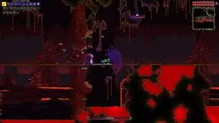 Wall of Flesh. Master mode (Melee class 1.4.4)