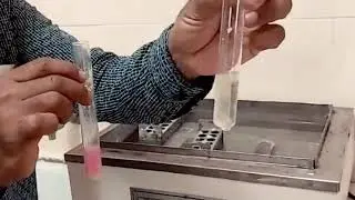 Test for Organic constituents of Urine