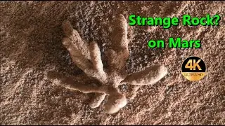 Mars Curiosity Rover spots Coral Like, Flower Shaped Rock, Life on Mars?  NASA Sol 3397 🔴 Hi-Def【4K】