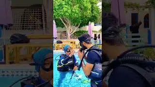 Discover Dubai&rsquo;s Coast with Scuba Diving & Boat Tour | Bermuda Diving Center