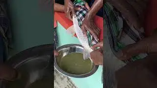 How to Squeeze Fish Eggs Like a Pro