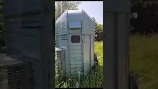 Catering trailer burger van converted pizza horsebox for sale equipment