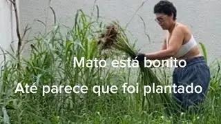Уборка двора 😅 ей 🐈 это не нравится